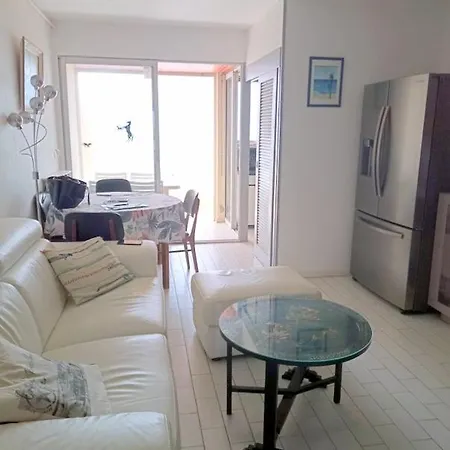Superbe T3 Vue Mer, Terrasse Avec Parking Prive 6arax17 Apartment